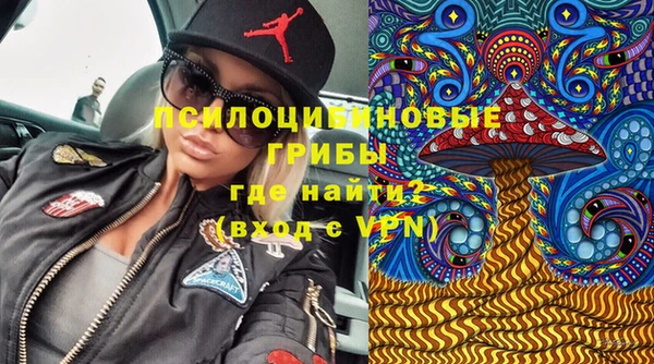mdpv Инта