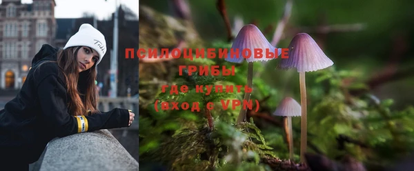 наркотики Инсар