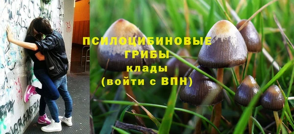 наркотики Инсар