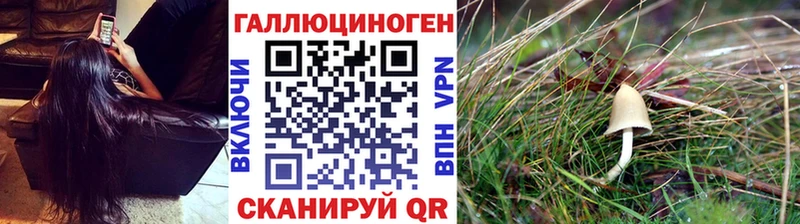 Псилоцибиновые грибы Psilocybe Купить где Жигулёвск